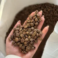 فروش دان قهوه