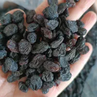 مویز