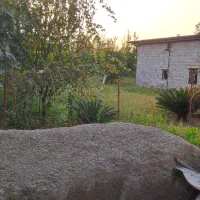 فروش دامداری (پرورش گوسفند)|فروش دفتر صنعتی، کشاورزی، تجاری|ساری, |دیوار