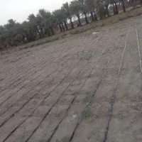 نصب نوار تیپ لوله نخی|مصالح و تجهیزات ساختمان|کهنوج, |دیوار