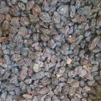 مویز کشمش شیره|عمده‌فروشی|شیراز, شهرک فرزانگان|دیوار