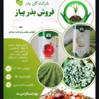 زرگان میگون