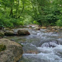 زمین‌جنگلی‌‌در‌قطعات‌مختلف سراوان/ کچا‌/جوکلبندان|فروش زمین و ملک کلنگی|سنگر, |دیوار