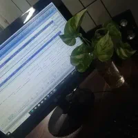 تابلو نئون بیمه البرز