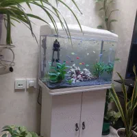 فروش آکواریوم