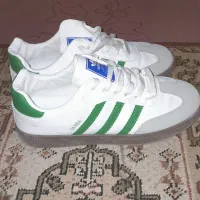 کفش|کیف، کفش، کمربند|شیروان (خراسان), |دیوار