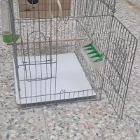 قفس با لوازم