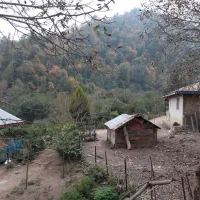 زمین مسکونی