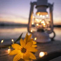 استخدام همکار خانم در موسسه فرهنگی