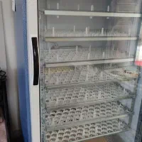 دستگاه جوجه کشی 588 تایی بلدرچین دماوند