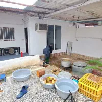 ویلانقلی/شیک وزیبا