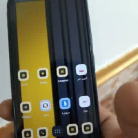 شیامی ۱۲ سی