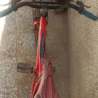 دوچرخه