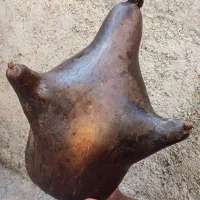 هیزه گوسفندی.سبزی خورشتیی و...|خوردنی و آشامیدنی|شباب, |دیوار