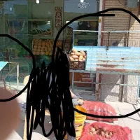 پالت میوه فروشی|فروشگاه و مغازه|اندیشه, اندیشه فاز ۵|دیوار