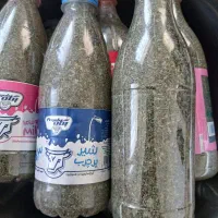 نعناع خالیواش