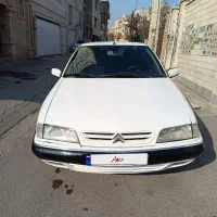 زانتیا سفید