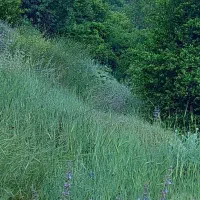 تور بوم گردی