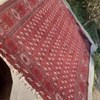 فرش ۱۲ متری قدیمی جنس خوب|فرش|گنبد کاووس, |دیوار