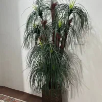 گل مصنوعی نخل