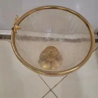 میوه خوری|ظروف سرو و پذیرایی|شیراز, شهرک مطهری|دیوار