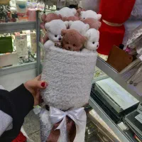 بوکت های خرسی|اسباب‌‌بازی|تبریز, |دیوار