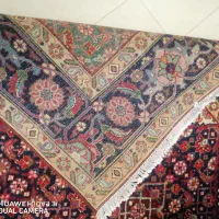 فروش دوتا فرش 6متری دست بافت|فرش|سهند, |دیوار