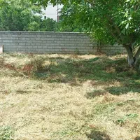 چالوس-فروش-مشارکت-زمین-1000-متری-تجاری