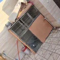 قفس پرنده کفتر|لوازم جانبی حیوانات|سبزوار, قصبه غربی|دیوار