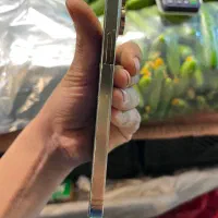 ایفون 14pro max|موبایل|همدان, |دیوار