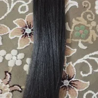 کش مو دم اسبی