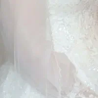 لباس عروس|لباس|ساری, |دیوار