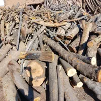 خریدار چوب درختان و چوب های سقفی|خدمات باغبانی و درختکاری|لردگان, |دیوار