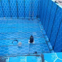 نصب و پخش ایزوگام ارومیه 185هزار ت ز ق بازار|خدمات پیشه و مهارت|خوی, |دیوار