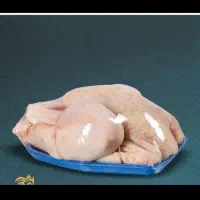 جذب نیروی کار اقا در شرکت بسته بندی مرغ