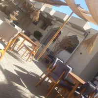 نیرو کمک آشپز خانم