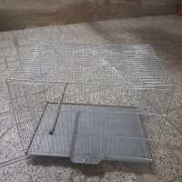 قفس جفت کنی قناری