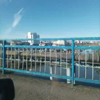 سرویس منطقه آزاد