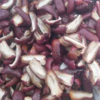 خرما فشرده مضافتی (جاهین )کپک مضافتی زردان