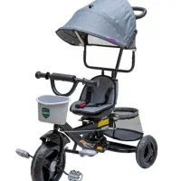 سه چرخه دلیجان