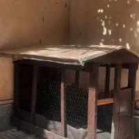 کلبه چوبی برای نگهداری پرنده و حیوانات خانگی