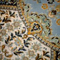 کسی نمیخره ساده نوکپا سالم