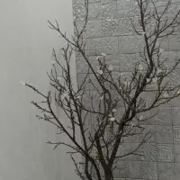 گل مصنوعی|گل مصنوعی|ایلام, |دیوار