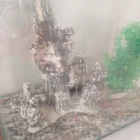 اکواریوم