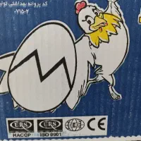 پخش تخم مرغ