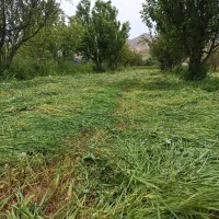 علف‌زنی تخصصی باغ و ویلا با دستگاه علف‌زن
