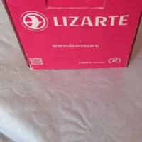 گوی وسط زانتیا