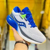 شریک پر تلاش کاربلد