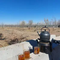 200-متر-باغچه-سند-تک-برگ-قیمت-کاسبی