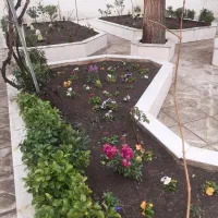 باغبانی .درختکاری،هرس درختان وتیلر در تمام نقاط